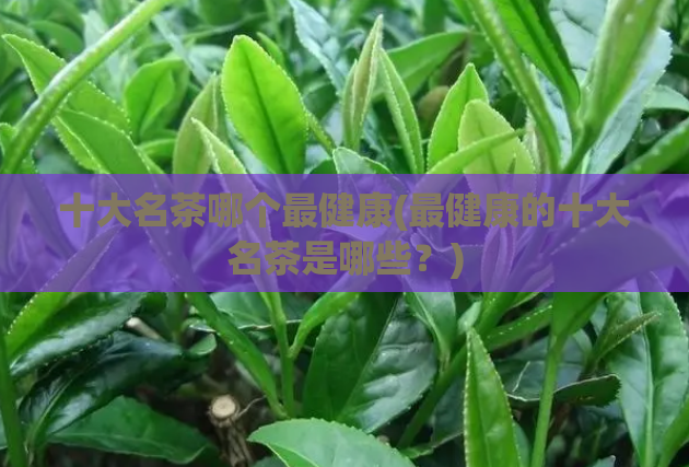 十大名茶哪个最健康(最健康的十大名茶是哪些?)