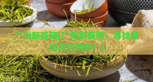 广州新茶网(广州新茶网：寻找最优质的新茶！)