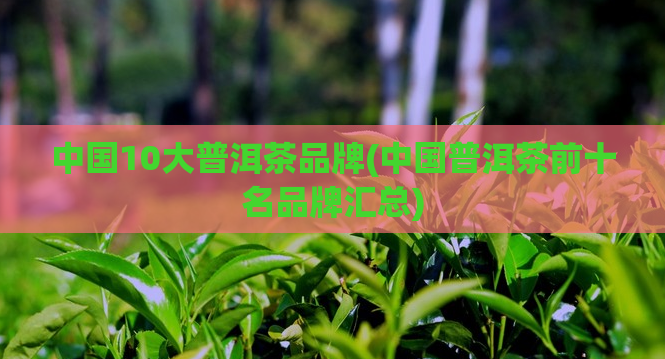 中国10大普洱茶品牌(中国普洱茶前十名品牌汇总)