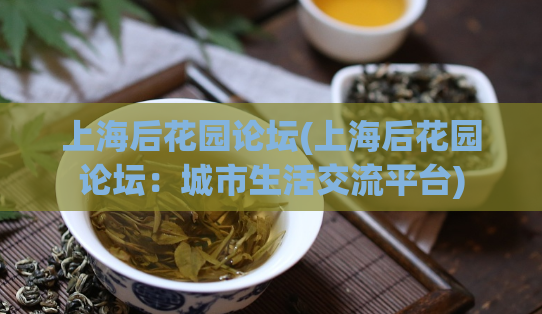 上海后花园论坛(上海后花园论坛:城市生活交流平台)