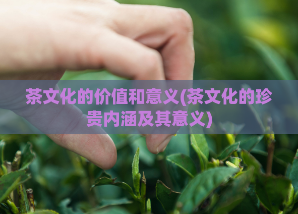 茶文化的价值和意义(茶文化的珍贵内涵及其意义)