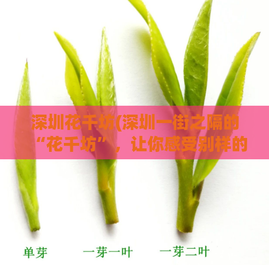 深圳花千坊(深圳一街之隔的“花千坊”，让你感受别样的文艺氛围)