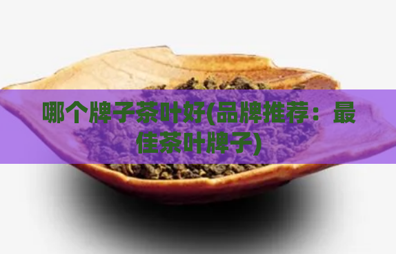 哪个牌子茶叶好(品牌推荐：最佳茶叶牌子)