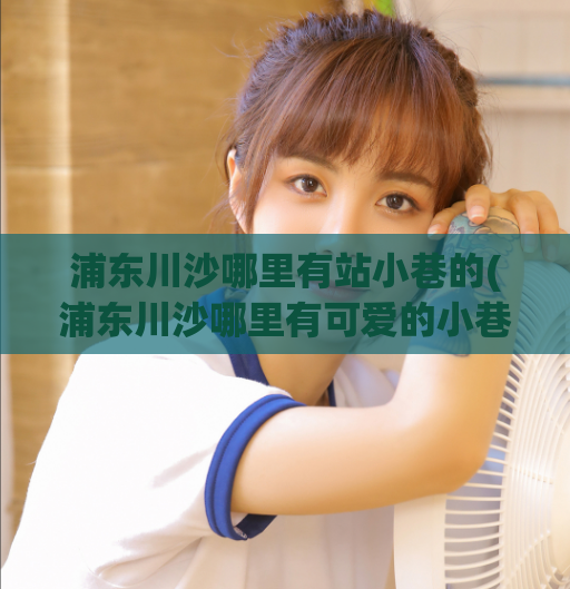 浦东川沙哪里有站小巷的(浦东川沙哪里有可爱的小巷？)