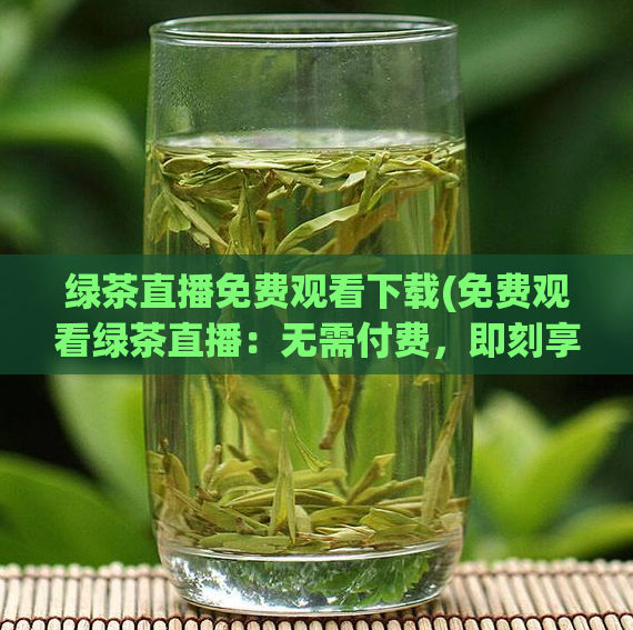 绿茶直播免费观看下载(免费观看绿茶直播:无需付费,即刻享受!)
