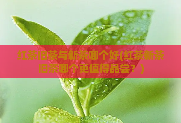 红茶旧茶与新茶哪个好(红茶新茶旧茶哪个更值得品尝？)