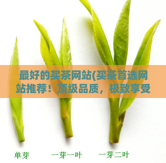 最好的买茶网站(买茶首选网站推荐!顶级品质,极致享受!)