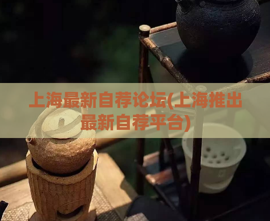 上海最新自荐论坛(上海推出最新自荐平台)