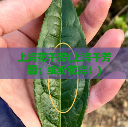 上海花千芳(上海千芳园:缤纷花海!)