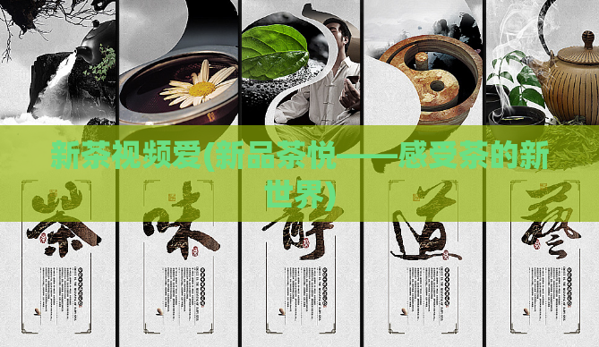 新茶视频爱(新品茶悦——感受茶的新世界)