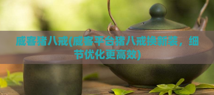 威客猪八戒(威客平台猪八戒换新装,细节优化更高效)