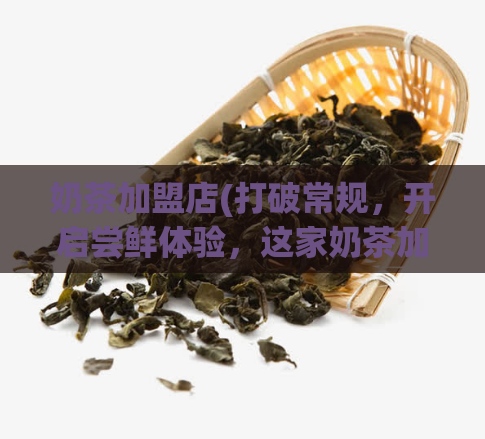 奶茶加盟店(打破常规,开启尝鲜体验,这家奶茶加盟店让你爱不释口!)