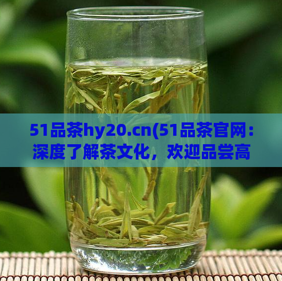 51品茶hy20.cn(51品茶官网：深度了解茶文化，欢迎品尝高质量茶叶)