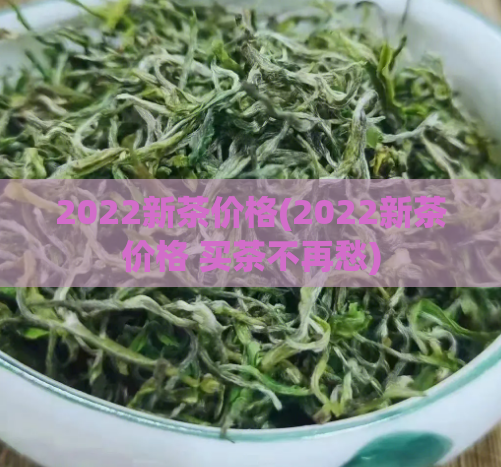2022新茶价格(2022新茶价格 买茶不再愁)