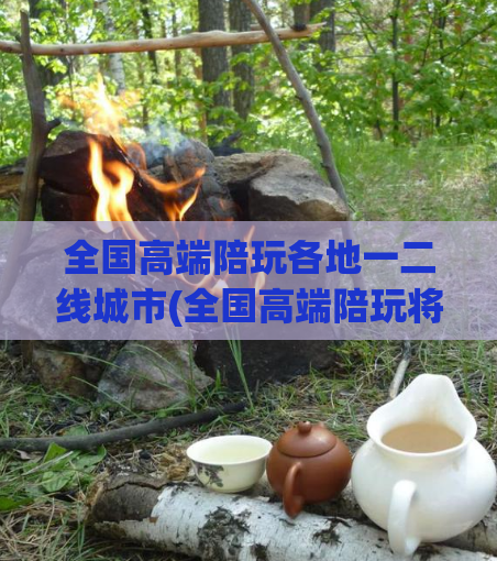 全国高端陪玩各地一二线城市(全国高端陪玩将在一二线城市拓展业务)