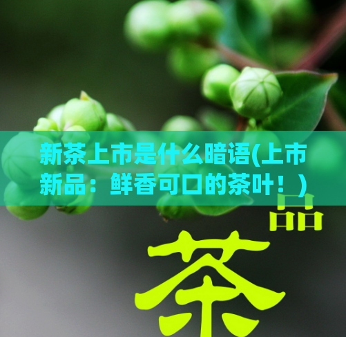 新茶上市是什么暗语(上市新品:鲜香可口的茶叶!)