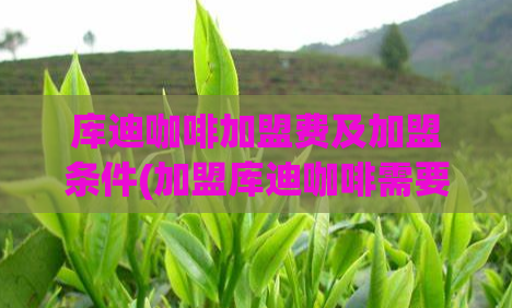 库迪咖啡加盟费及加盟条件(加盟库迪咖啡需要满足的条件和所需费用是多少?)