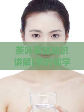 茶叶基础知识讲解(茶叶初学者必须掌握的基础知识)