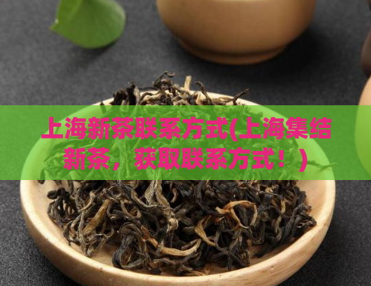 上海新茶联系方式(上海集结新茶，获取联系方式！)