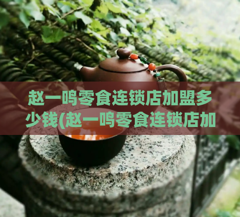 赵一鸣零食连锁店加盟多少钱(赵一鸣零食连锁店加盟费用及条件)