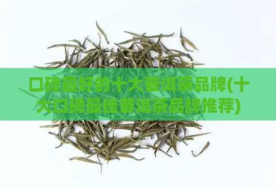 口碑最好的十大普洱茶品牌(十大口碑最佳普洱茶品牌推荐)