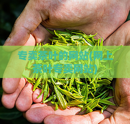 专卖茶叶的网站(网上茶叶专卖网站)