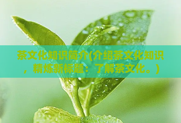茶文化知识简介(介绍茶文化知识,精炼新标题:了解茶文化。)