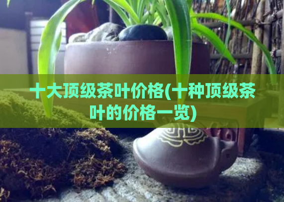 十大顶级茶叶价格(十种顶级茶叶的价格一览)