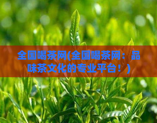 全国喝茶网(全国喝茶网:品味茶文化的专业平台!)