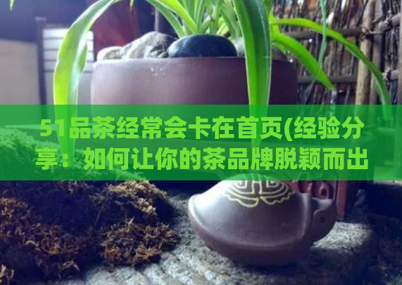 51品茶经常会卡在首页(经验分享：如何让你的茶品牌脱颖而出)