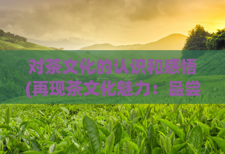 对茶文化的认识和感悟(再现茶文化魅力:品尝茶香,品味大自然的馈赠)