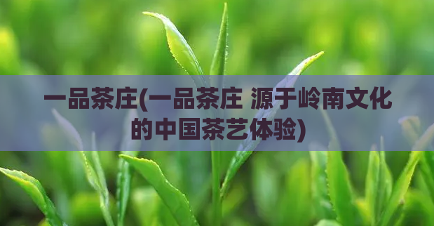 一品茶庄(一品茶庄 源于岭南文化的中国茶艺体验)