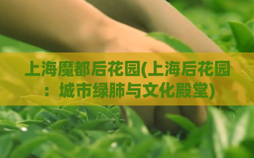 上海魔都后花园(上海后花园:城市绿肺与文化殿堂)