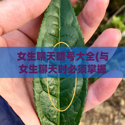 女生聊天暗号大全(与女生聊天时必须掌握的暗号收集)