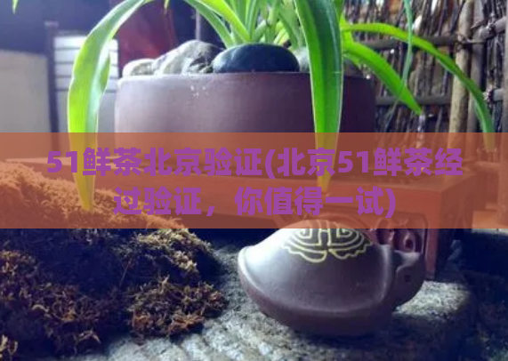 51鲜茶北京验证(北京51鲜茶经过验证，你值得一试)