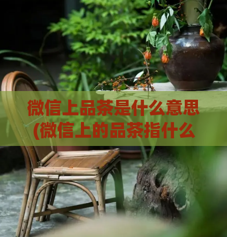 微信上品茶是什么意思(微信上的品茶指什么?了解一下)