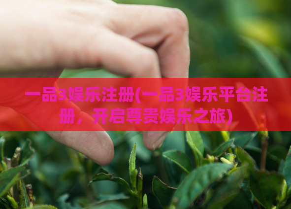 一品3娱乐注册(一品3娱乐平台注册，开启尊贵娱乐之旅)