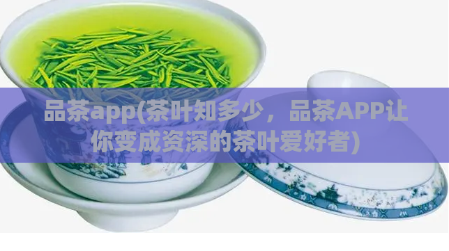 品茶app(茶叶知多少，品茶APP让你变成资深的茶叶爱好者)