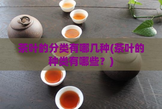 茶叶的分类有哪几种(茶叶的种类有哪些？)