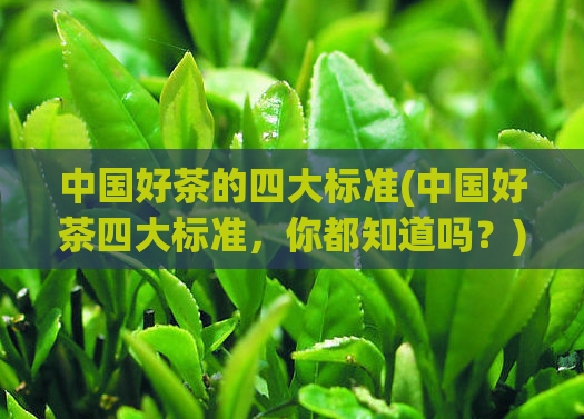 中国好茶的四大标准(中国好茶四大标准，你都知道吗？)