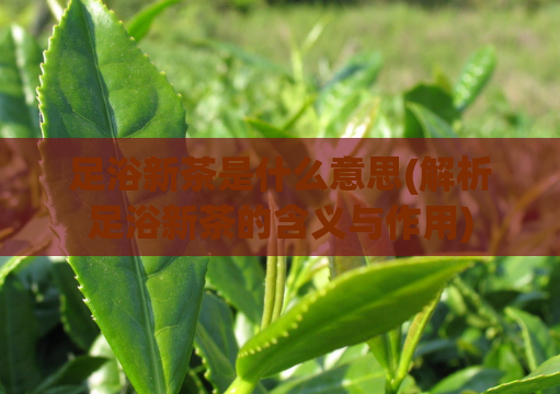足浴新茶是什么意思(解析足浴新茶的含义与作用)