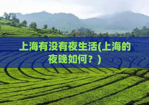 上海有没有夜生活(上海的夜晚如何?)