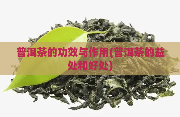 普洱茶的功效与作用(普洱茶的益处和好处)