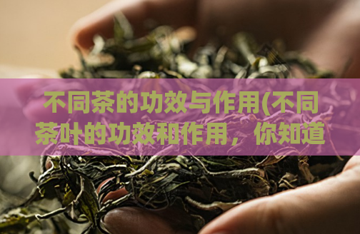 不同茶的功效与作用(不同茶叶的功效和作用，你知道吗？)