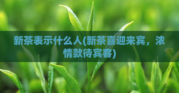 新茶表示什么人(新茶喜迎来宾，浓情款待宾客)