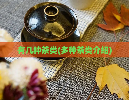 有几种茶类(多种茶类介绍)