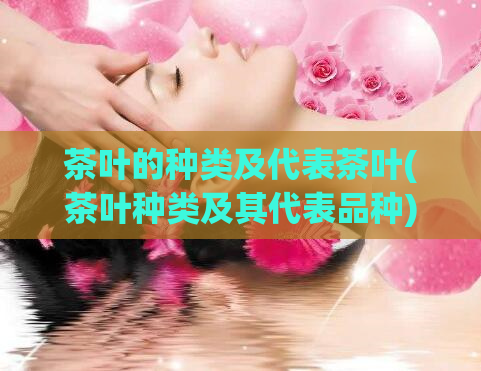 茶叶的种类及代表茶叶(茶叶种类及其代表品种)