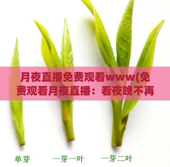 月夜直播免费观看www(免费观看月夜直播:看夜晚不再孤单)