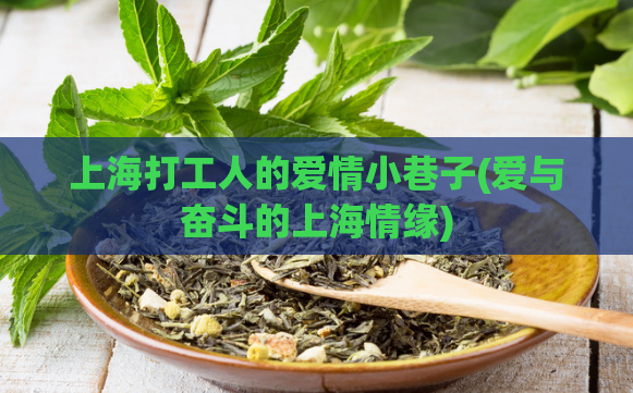 上海打工人的爱情小巷子(爱与奋斗的上海情缘)