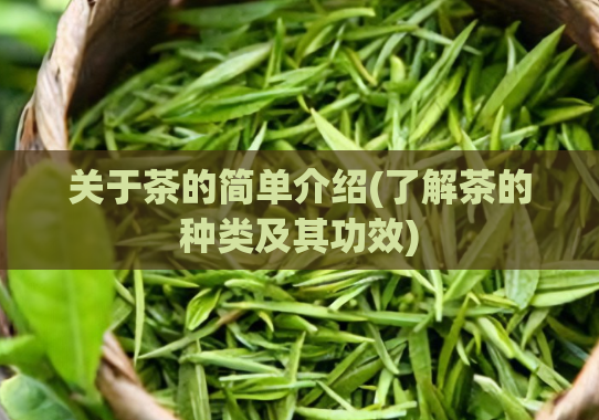 关于茶的简单介绍(了解茶的种类及其功效)